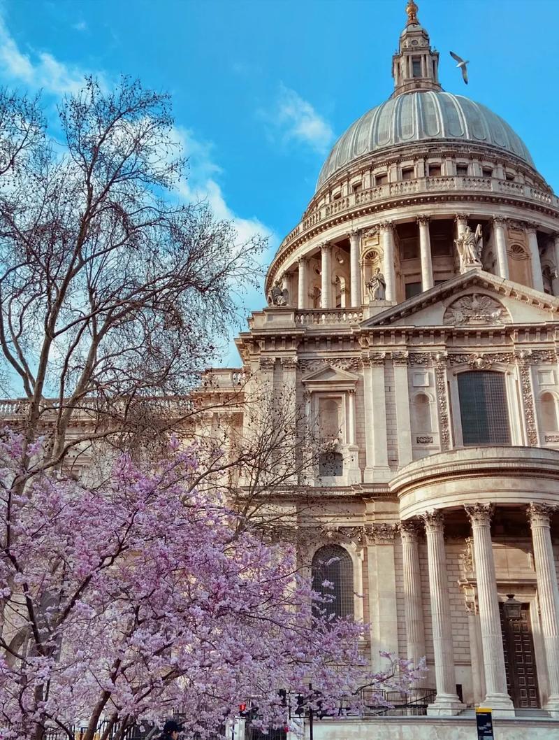 韩国外国语大学
